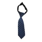 Γραβάτα " Μπλέ Πουά "