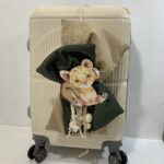 Βαπτιστική Βαλίτσα ”Λιονταράκι”